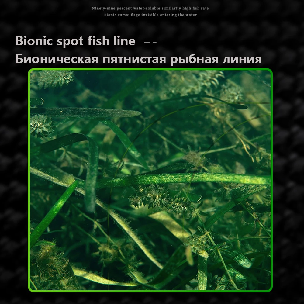 3000M Invisible Speckle Carp F - Fluorocarbon Line のレビューと価格