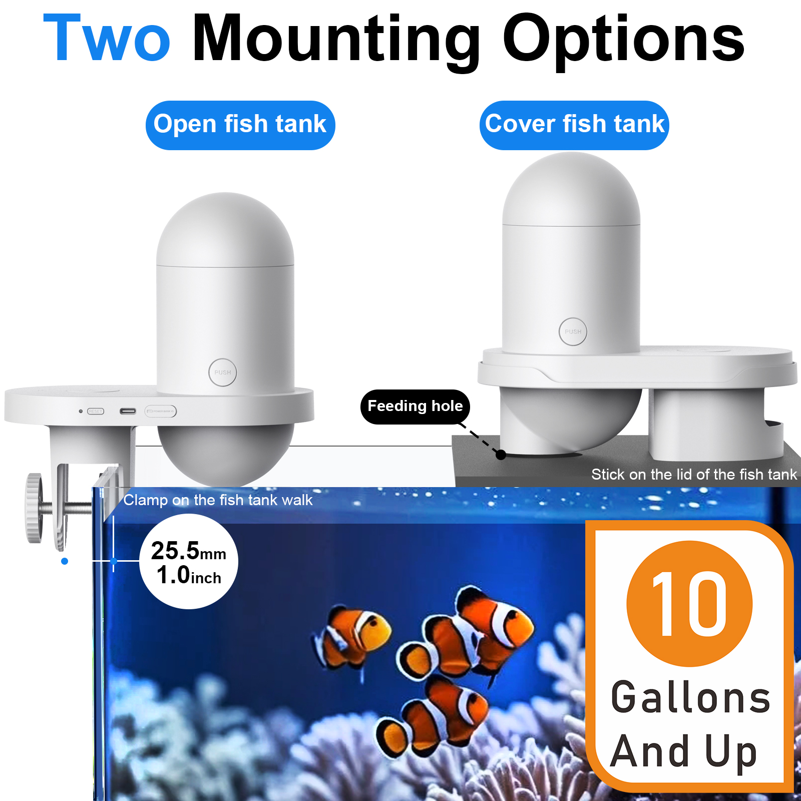 Automatic Fish Feeder With Cam - Fishing Line Dispenser のレビューと価格
